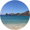 Sarah S. profile picture